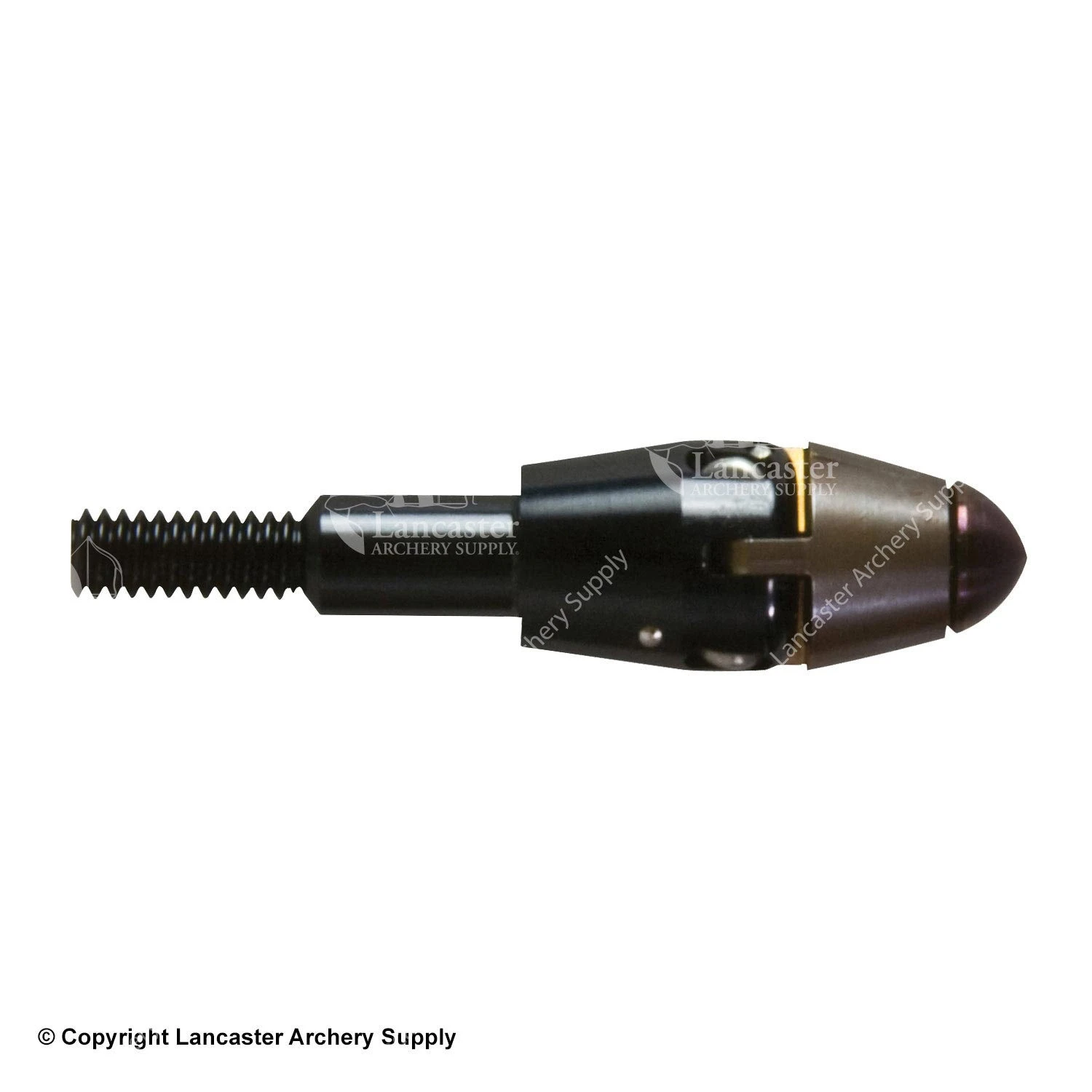 Easton V3 Expandable Varmint Points 2 Easton V3 Expandable Varmint Points - Image 2