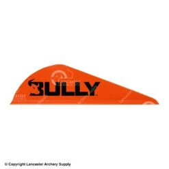 Easton Bully Vane 2" -Arrow Pro Shop 2070844 orange