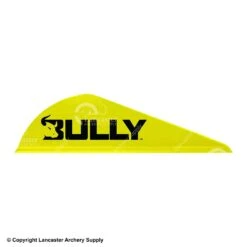 Easton Bully Vane 2" -Arrow Pro Shop 2070844 yellow